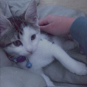 Meet your Posher, Xyrille